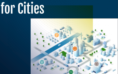 WindowSkins ® at COP27 in the Solutions Guide for Cities presented by The Solar Impulse Foundation